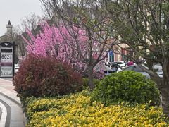 -王府井奥莱临潼小镇(临潼店)