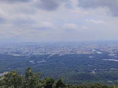 -紫金山山顶公园