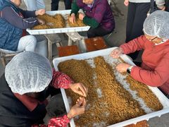 -苏州市吴中区光福窑上花果蜜饯厂