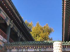 -国家图书馆·古籍馆