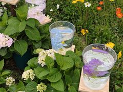 -名花谷生态庄园