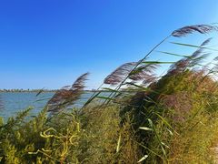 -包头南海湿地景区