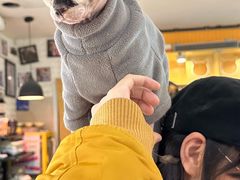 -平行世界·猫咖(首经贸店)