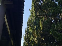 -汉陵苑