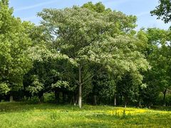 -艾溪湖湿地公园