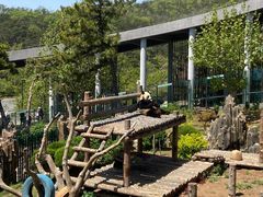 -大连森林动物园