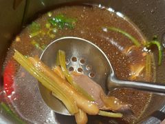 -蘑界·野生菌火锅(深业上城店)