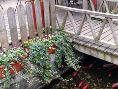 -老洋房花园饭店(绍兴路店)