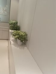 -禾丽康美医疗美容医院