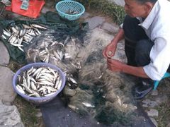 -才村湿地公园