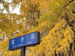 -牛王庙特色面(杏苑公寓店)