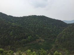 -爱婴室(上海大华路店)