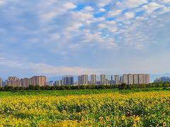 -汉长安城未央宫国家考古遗址公园