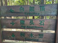 -火炉山森林公园