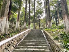 -莫干山风景区