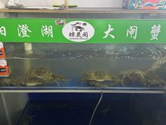 -阳澄湖大闸蟹·琼灵阁牌品牌连锁(吴中总店)