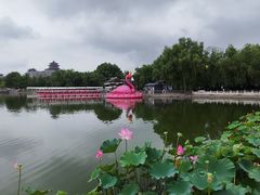 -莲花池公园