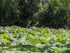 -承德避暑山庄景区