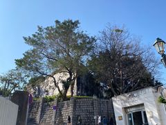 -大炮台