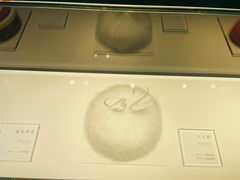 -BLACKSWAN黑天鹅(环球店)