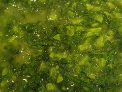 -糊涂兔毛毛菜(八里庄店)