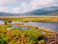 -腾冲北海湿地