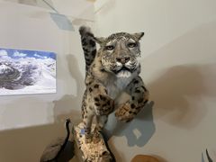 -国家自然博物馆