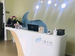 -小象托育