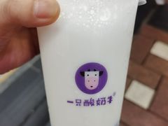 -一只酸奶牛(八一路店)