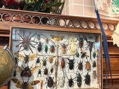 -恋物百货商店(华侨城店)