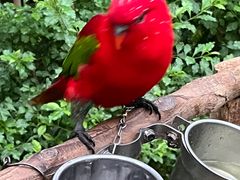 -南宫五洲植物乐园