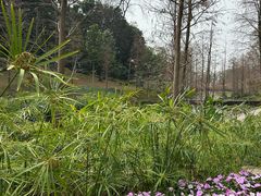 -云溪植物园