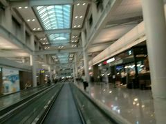 -乐天免税店(仁川国际机场店)