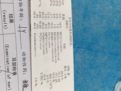 -喜多萌中农锦绣动物医院24H·猫科·牙科MRI·CT