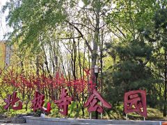 -北极寺公园
