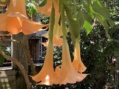 -厦门良筑精品酒店(厦门中山路店)