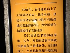-上海崧泽遗址博物馆
