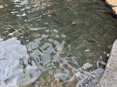 -三亚海棠湾南田温泉神龙谷