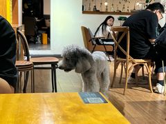 -沏点Trattoria意大利餐厅(新街口店)