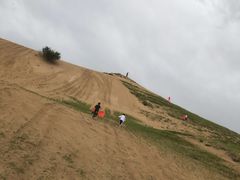 -御道口草原森林风景区