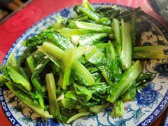 油麦菜-生态苑农庄(十里画廊遇龙河店)