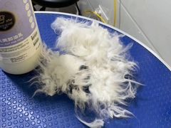 -佳雯宠物医院(金华南路分院)