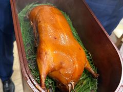 -鹿园 MOOSE(长宁店)