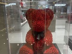 -ROSEONLY诺誓(国际广场购物中心店)