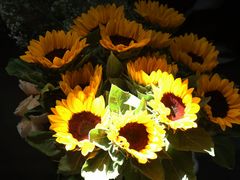 -循礼门鲜花花市(武汉循礼门店)