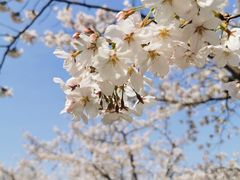 -龙美术馆(西岸馆)