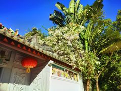 -深圳国际园林花卉博览园