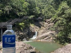 -广州白江湖森林公园