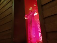 -上海金桥红枫万豪酒店-万豪中餐厅