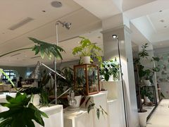 -一尺花园(安和花园店)